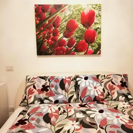 Apartment Domus Aqua Luxury